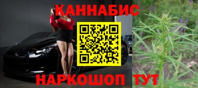 spice Камышлов