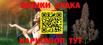 spice Камышлов