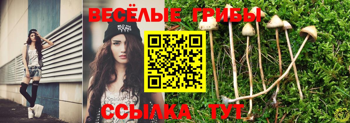 Псилоцибиновые грибы Cubensis  Вход с VPN  Ленинск-Кузнецкий  Псилоцибиновые грибы ЛСД 