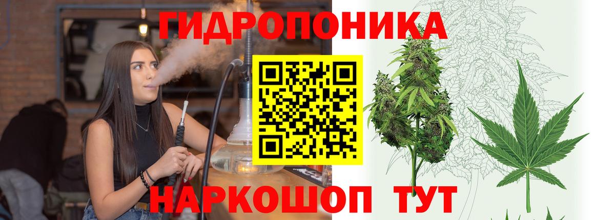 Конопля семена Ленинск-Кузнецкий